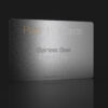 Pure Metal Cards frosted stainless steel business card